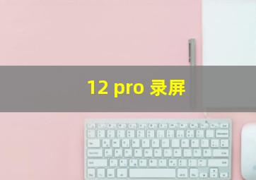 12 pro 录屏